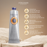  Kem Dưỡng Chân Bơ Đậu Mỡ 