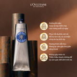  Kem Dưỡng Da Tay 20% Bơ Đậu Mỡ 