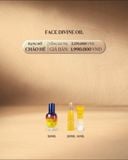 Tinh chất tái sinh quyền năng ngừa lão hóa L'Occitane Immortelle Reset Serum  Tặng Bộ đôi làm sạch và tái tạo da cúc trường sinh