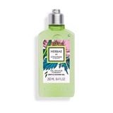 Sữa Tắm Dạng Gel L’Occitane Herbae par Gentle Shower Gel 250ml 