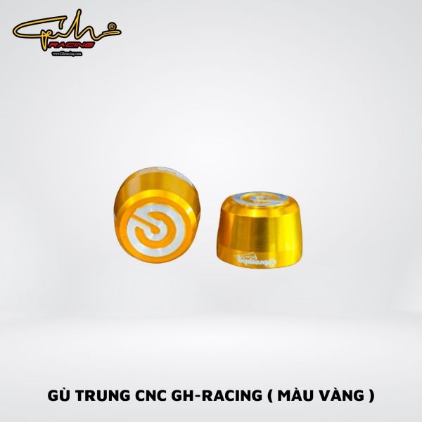 GÙ TRUNG GH-RACING