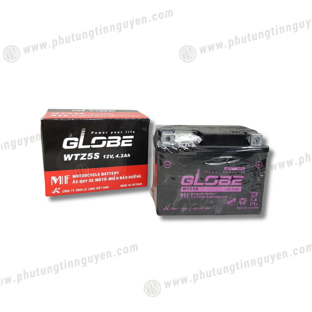 Bình ắc quy xe máy GLOBE WTZ5S (12V-4.2Ah)