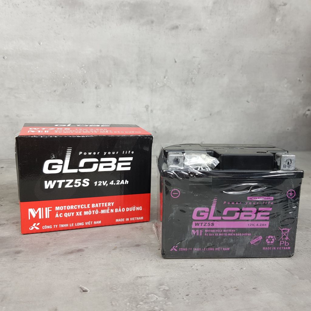 Bình ắc quy xe máy GLOBE WTZ5S (12V-4.2Ah)