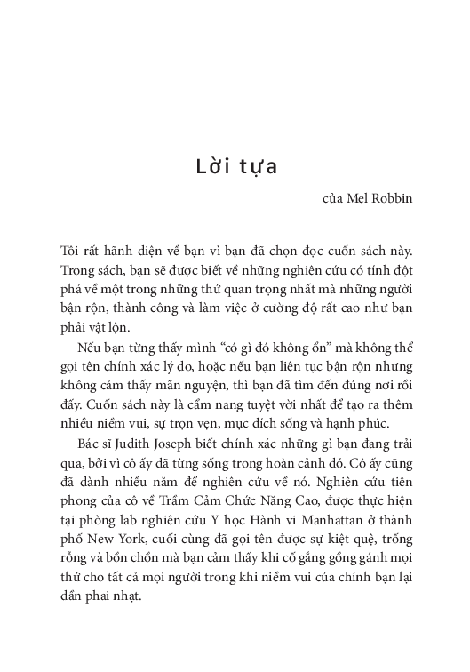 Trầm Cảm Chức Năng Cao - Vượt Qua Trầm Cảm Ẩn Và Tìm Lại Niềm Vui - 
BS. Judith Joseph