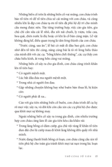 Nếp Cũ - Phong Tục Thờ Cúng Trong Gia Đình Việt Nam - Phong Lưu Đồng Ruộng - Nghệ Thuật Bắt Ăn Trộm - Toan Ánh