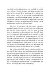 Combo 4 Quyển (Định Luật Peter + Đọc Suy Nghĩ Thấu Tâm Can + Trí Tuệ Cảm Xúc Cao + Nghệ Thuật Từ Chối) - Nhiều Tác Giả