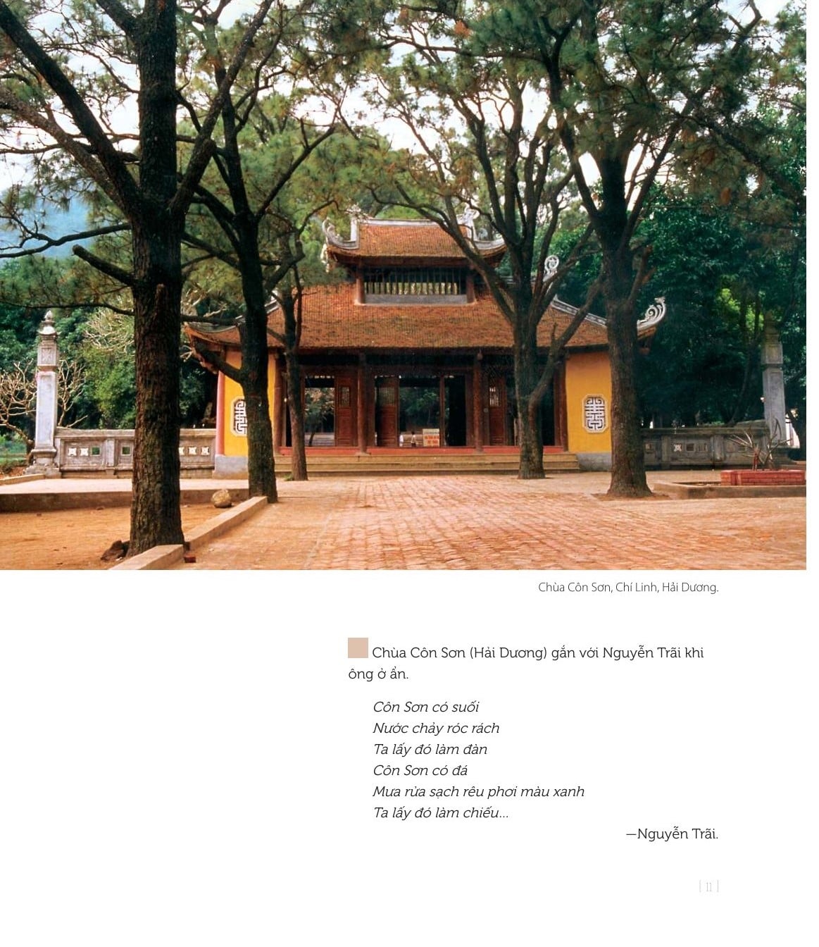 Nghệ Thuật Việt Nam (Bìa Cứng) - Nhiều Tác Giả