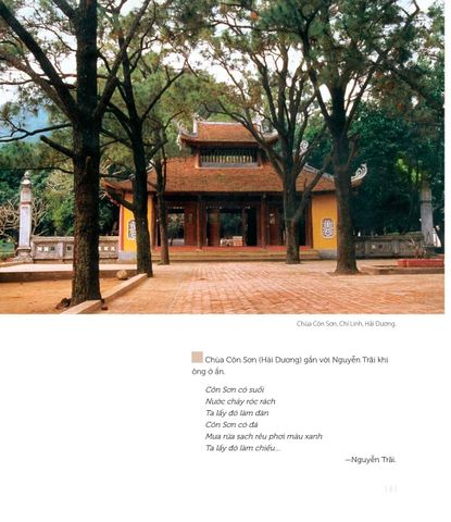  Nghệ Thuật Việt Nam (Bìa Cứng) - Nhiều Tác Giả 