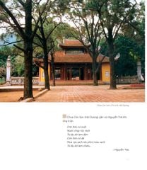 Nghệ Thuật Việt Nam (Bìa Cứng) - Nhiều Tác Giả