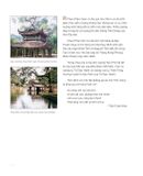  Nghệ Thuật Việt Nam (Bìa Cứng) - Nhiều Tác Giả 