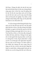 Combo 4 Quyển: Không Gia Đình - Tác Phẩm Kinh Điển Hấp Dẫn Mọi Thế Hệ (Hồi Ức Về Một Tuổi Thơ Không Cha Mẹ + Những Ngày Lưu Lạc + Cuộc Sống Mưu Sinh + Màu Sắc Của Hy Vọng) - Hector Malot