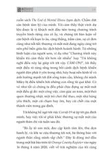 Combo 3 Quyển: Bộ Não Thiên Tài - Phải Xài Thông Minh (Não Trái Não Phải + Trí Nhớ Minh Mẫn, Tư Duy Sắc Sảo + Đánh Thức Bộ Não) - Nhiều Tác Giả