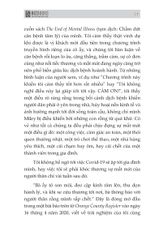 Combo 3 Quyển: Luật Hấp Dẫn Thu Hút Tiền Bạc Thịnh Vượng (Sức Mạnh Tiềm Thức + Đánh Thức Não Bộ + Dẫn Lối Bạn Tới Thành Công) - Nhiều Tác Giả