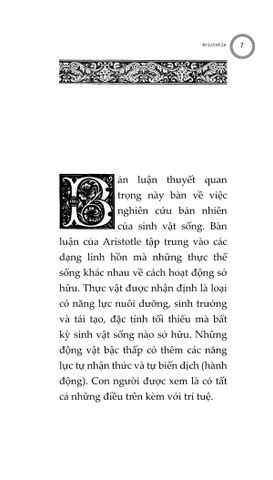  Combo 4 Quyển Hiểu Về Bản Chất Tâm Trí Con Người ( Nguồn Gốc Cảm Xúc + 7 Bài Học Rưỡi Về Não Bộ + Đạo Tu Yoga + Bàn Về Linh Hồn ) 