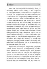 Combo 3 Quyển: Bộ Não Thiên Tài - Phải Xài Thông Minh (Não Trái Não Phải + Trí Nhớ Minh Mẫn, Tư Duy Sắc Sảo + Đánh Thức Bộ Não) - Nhiều Tác Giả