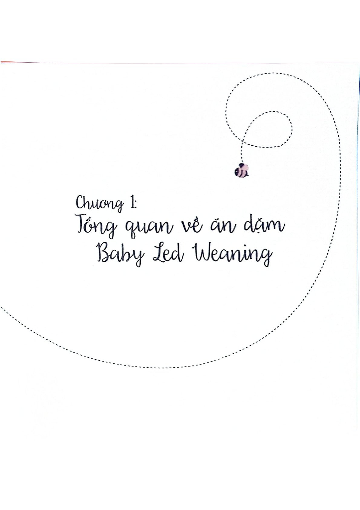 Combo 3 Quyển Ăn Dặm Không Phải Cuộc Chiến + Phương Pháp Ăn Dặm Bé Chỉ Huy + Ăn Dặm Kiểu Nhật - Nhiều Tác Giả