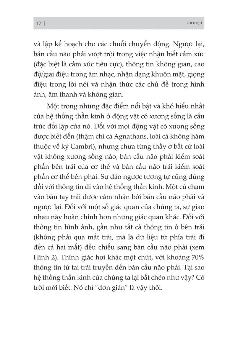 Combo 3 Quyển: Bộ Não Thiên Tài - Phải Xài Thông Minh (Não Trái Não Phải + Trí Nhớ Minh Mẫn, Tư Duy Sắc Sảo + Đánh Thức Bộ Não) - Nhiều Tác Giả