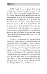 Combo 3 Quyển: Nói Khéo Nói Hay - Một Lời Nói Vạn Người Mê (Trí Tuệ Cảm Xúc Cao + Giao Tiếp Thông Minh + Giao Tiếp Tự Tin Trong Một Phút) - Nhiều Tác Giả