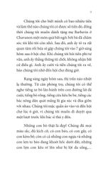 Combo 4 Quyển: Không Gia Đình - Tác Phẩm Kinh Điển Hấp Dẫn Mọi Thế Hệ (Hồi Ức Về Một Tuổi Thơ Không Cha Mẹ + Những Ngày Lưu Lạc + Cuộc Sống Mưu Sinh + Màu Sắc Của Hy Vọng) - Hector Malot