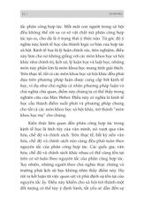 Combo 3 Quyển: Thấu Hiểu Tiền Bạc - Tiết Kiệm Đầu Tư - Tự Do Tài Chính (Học Về Tiền + Tư Duy Kinh Tế + Kế Hoạch Quản Lý Tài Chính Cá Nhân) - Nhiều Tác Giả