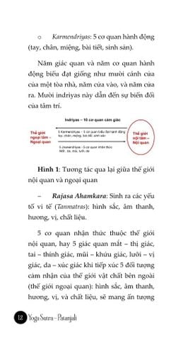  Combo 4 Quyển Yoga & Ayurveda ( Bhagavad Gita Và Văn Bản Gốc + Thực Hành Yoga Hiện Đại  + Ayurveda - Nền Tảng Dưỡng Sinh Ấn Độ + Yoga Sutra ) 