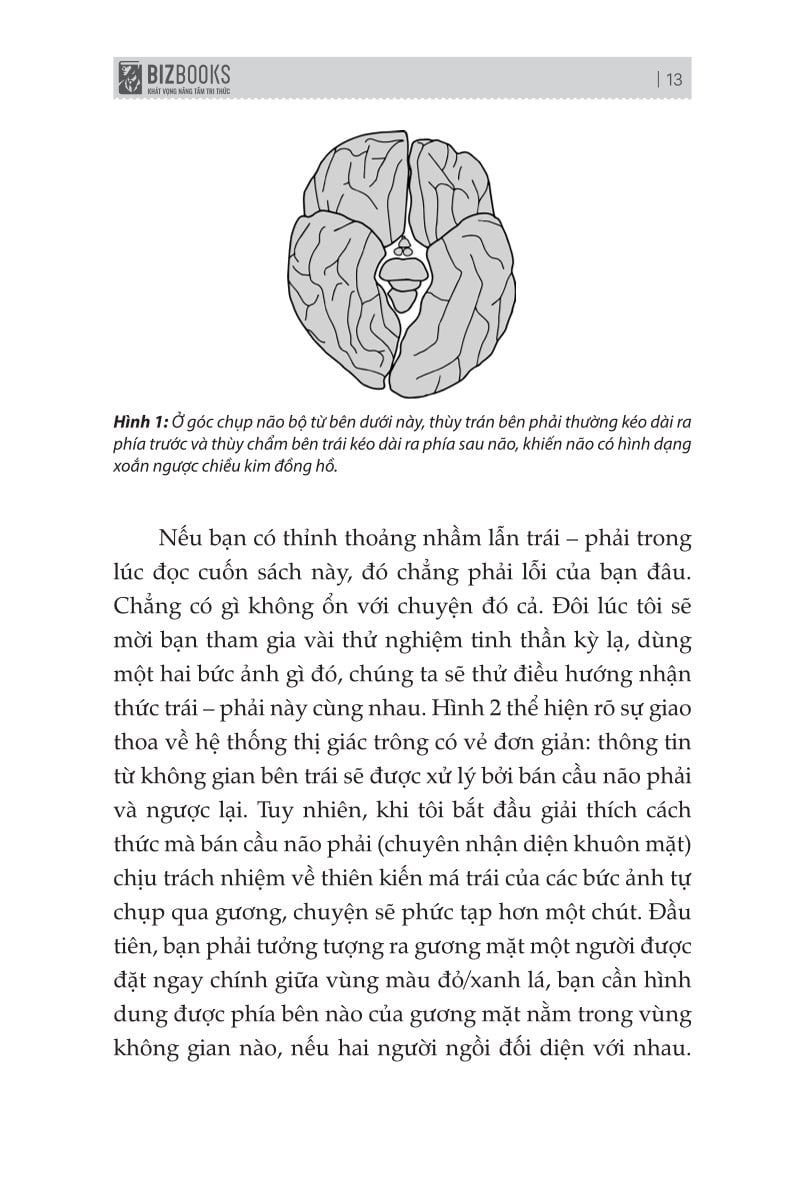 Combo 3 Quyển: Bộ Não Thiên Tài - Phải Xài Thông Minh (Não Trái Não Phải + Trí Nhớ Minh Mẫn, Tư Duy Sắc Sảo + Đánh Thức Bộ Não) - Nhiều Tác Giả