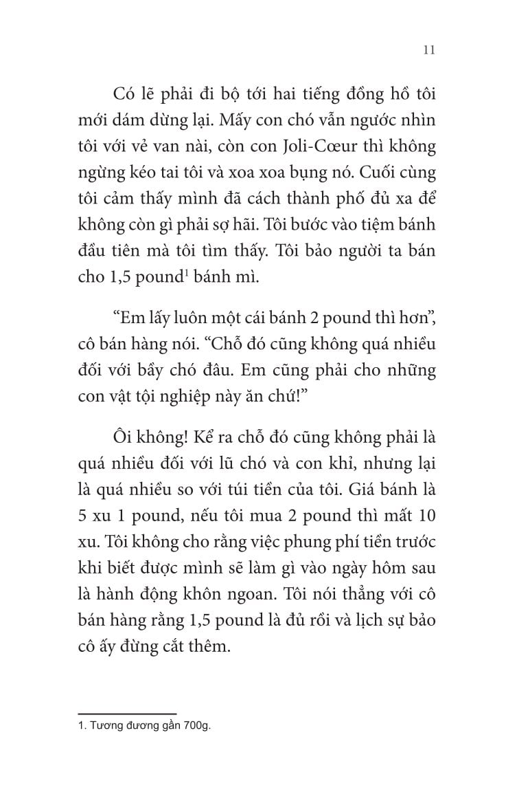 Combo 4 Quyển: Không Gia Đình - Tác Phẩm Kinh Điển Hấp Dẫn Mọi Thế Hệ (Hồi Ức Về Một Tuổi Thơ Không Cha Mẹ + Những Ngày Lưu Lạc + Cuộc Sống Mưu Sinh + Màu Sắc Của Hy Vọng) - Hector Malot
