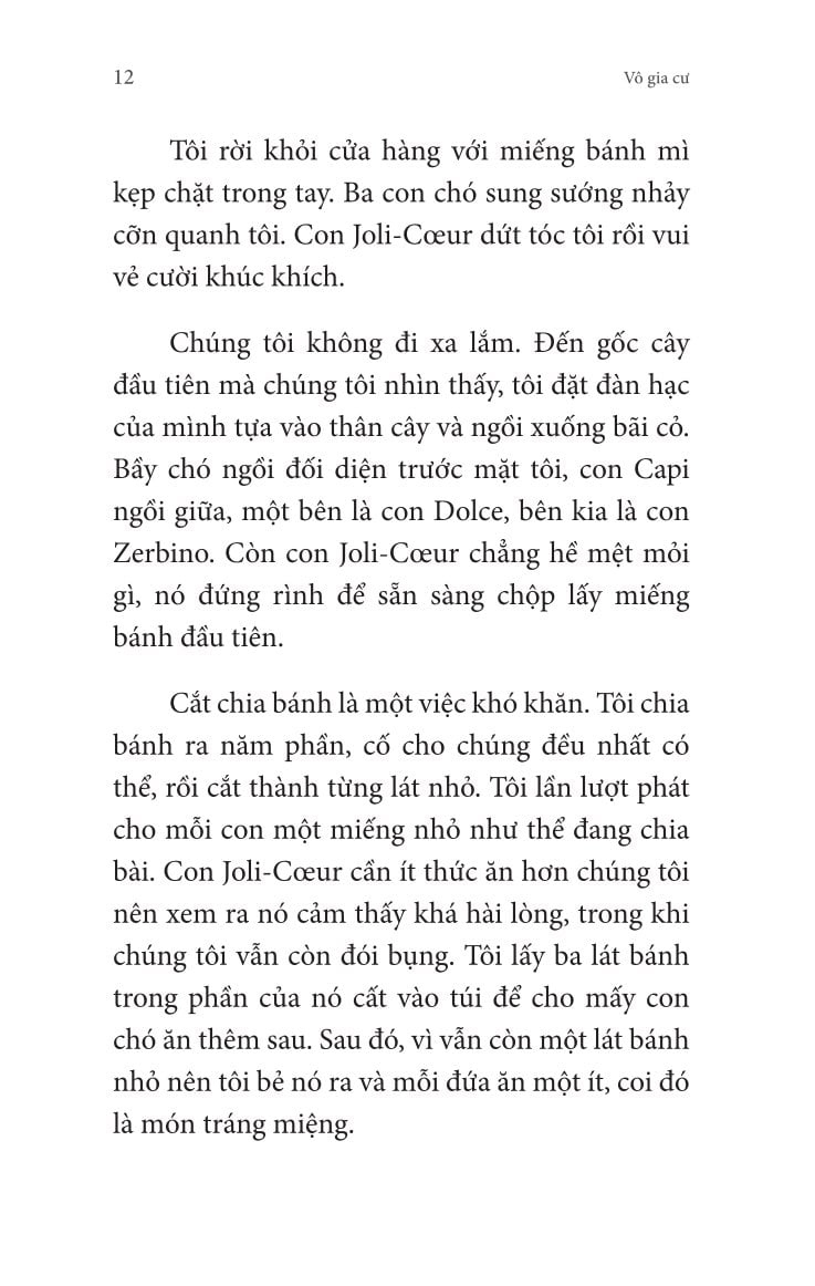 Combo 4 Quyển: Không Gia Đình - Tác Phẩm Kinh Điển Hấp Dẫn Mọi Thế Hệ (Hồi Ức Về Một Tuổi Thơ Không Cha Mẹ + Những Ngày Lưu Lạc + Cuộc Sống Mưu Sinh + Màu Sắc Của Hy Vọng) - Hector Malot