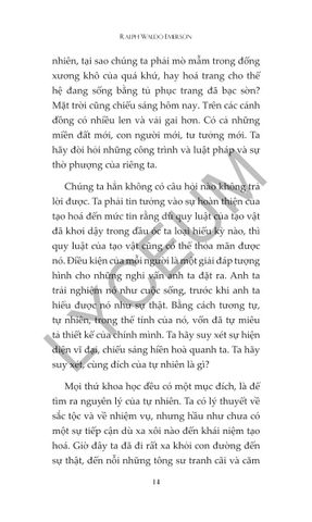  Combo 2 Quyển ( Phúc Cho Người Không Thấy Mà Tin + Văn Hóa Thời Phục Hưng ) 