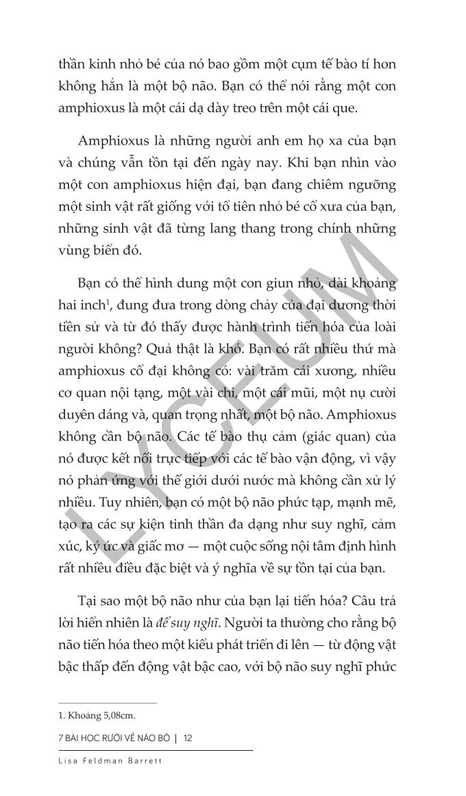 Combo 2 Quyển Khoa Học Não Bộ Của Lisa Feldman Barrett ( 7 Bài Học Rưỡi Về Não Bộ + Nguồn Gốc Cảm Xúc ) - Lisa Feldman Barrett
