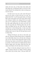 Combo 3 Quyển: Thấu Hiểu Tiền Bạc - Tiết Kiệm Đầu Tư - Tự Do Tài Chính (Học Về Tiền + Tư Duy Kinh Tế + Kế Hoạch Quản Lý Tài Chính Cá Nhân) - Nhiều Tác Giả