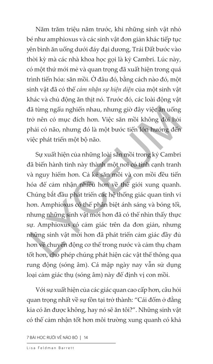 Combo 2 Quyển Khoa Học Não Bộ Của Lisa Feldman Barrett ( 7 Bài Học Rưỡi Về Não Bộ + Nguồn Gốc Cảm Xúc ) - Lisa Feldman Barrett