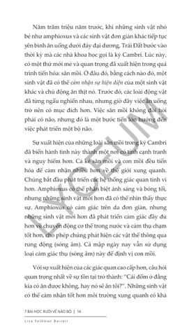  Combo 2 Quyển Khoa Học Não Bộ Của Lisa Feldman Barrett ( 7 Bài Học Rưỡi Về Não Bộ + Nguồn Gốc Cảm Xúc ) 