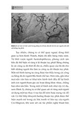 Combo 3 Quyển: Bộ Não Thiên Tài - Phải Xài Thông Minh (Não Trái Não Phải + Trí Nhớ Minh Mẫn, Tư Duy Sắc Sảo + Đánh Thức Bộ Não) - Nhiều Tác Giả