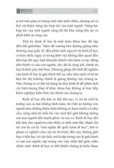 Combo 3 Quyển: Thấu Hiểu Tiền Bạc - Tiết Kiệm Đầu Tư - Tự Do Tài Chính (Học Về Tiền + Tư Duy Kinh Tế + Kế Hoạch Quản Lý Tài Chính Cá Nhân) - Nhiều Tác Giả