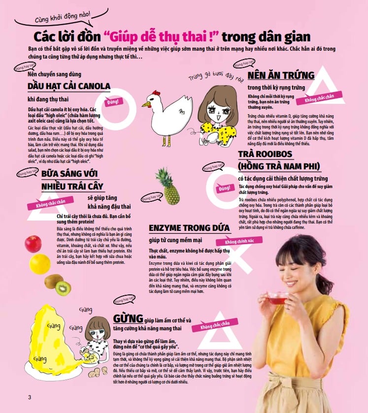 Hiểu Và Áp Dụng Các Phương Pháp Thụ Thai - Tự Nhiên, Iui, Ivf… - Shufunotomo