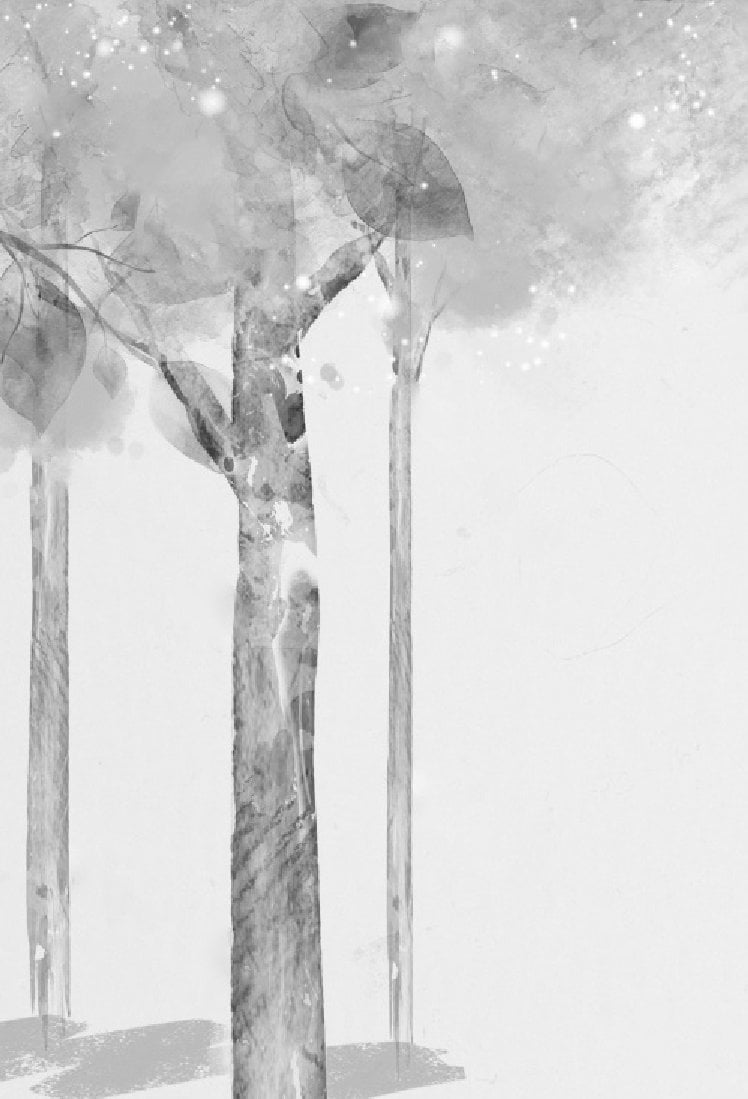 Nobody Knows - Những Đứa Trẻ Bị Bỏ Quên - Shelley Tanaka
