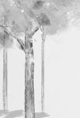 Nobody Knows - Những Đứa Trẻ Bị Bỏ Quên - Shelley Tanaka