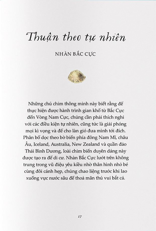 Combo 2 Cuốn Chuyện Kể Về Trăm Loài Chim + Sải Cánh Như Những Chú Chim