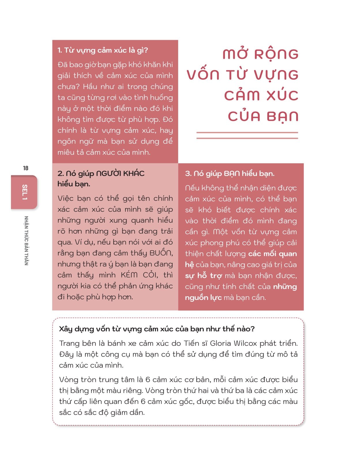 50+ Hoạt Động Phát Triển Năng Lực Cảm Xúc - Xã Hội - Đinh Hồng, Mỹ Hạnh