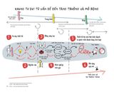  Tư Duy Thiết Kế Và Các Chỉ Số Đo Lường Đổi Mới Sáng Tạo - Michael Lewrick 