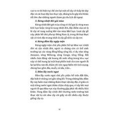 Phòng Tránh Tai Nạn Bất Ngờ - Phòng Chống Tai Nạn Khi Dã Ngoại - Mai Hương