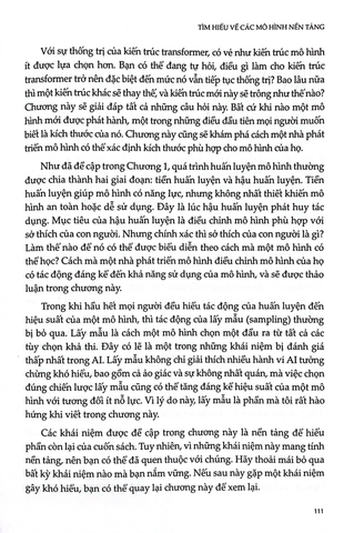 Kỹ Thuật AI - Xây Dựng Ứng Dụng Với Mô Hình Nền Tảng - Chip Huyen 