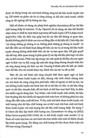  Kỹ Thuật AI - Xây Dựng Ứng Dụng Với Mô Hình Nền Tảng - Chip Huyen 