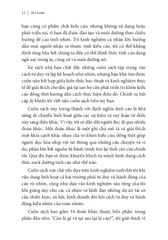 Tư Duy Kiểu Cáo - 
Zvi Lanir