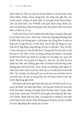 Vũ Trụ Tuần Hoàn - 
Paul J. Steinhardt, Neil Turok