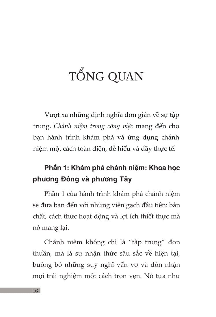 Chánh Niệm Trong Công Việc - Martyn Newman