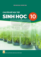Sách Giáo Khoa Và Bài Tập Lớp 10 - Năm 2026-2027 - Kết Nối Tri Thức Với Cuộc Sống - NXBGD