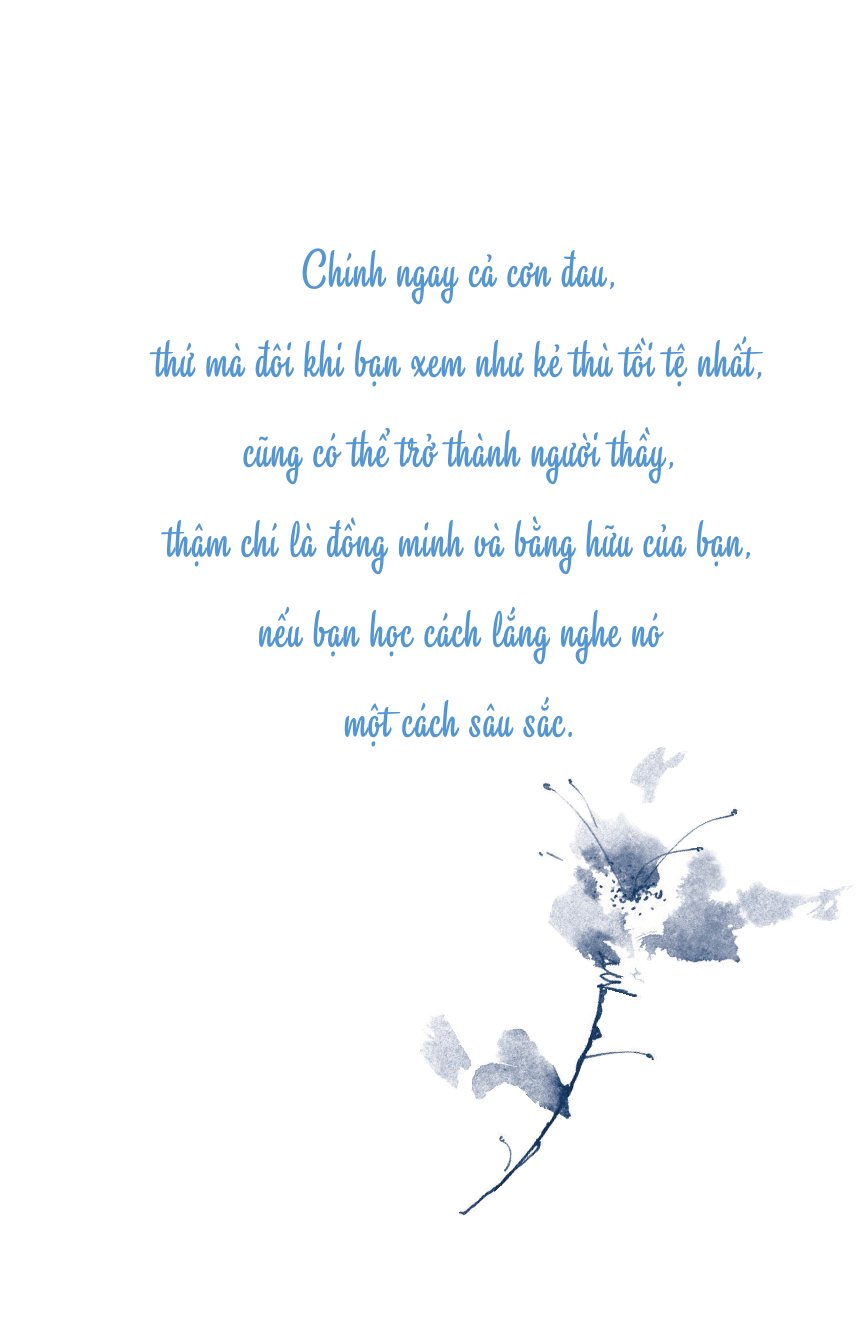 Giảm Đau Đớn Bằng Thiền Định - Mindfulness Meditation For Pain Relief - Jon Kabat-Zinn