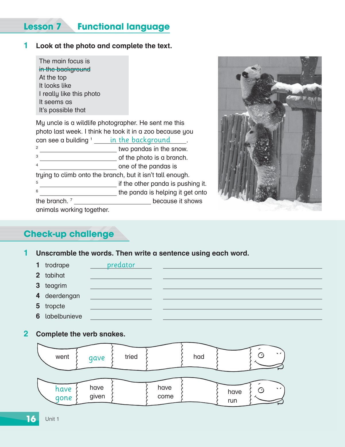 Combo 6 Quyển Sách Bài tập Academy Stars  Workbook ( Từ Tập 1 - Tập 6 )